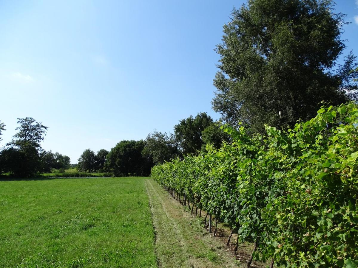 Bauernhof Corte Isolo *