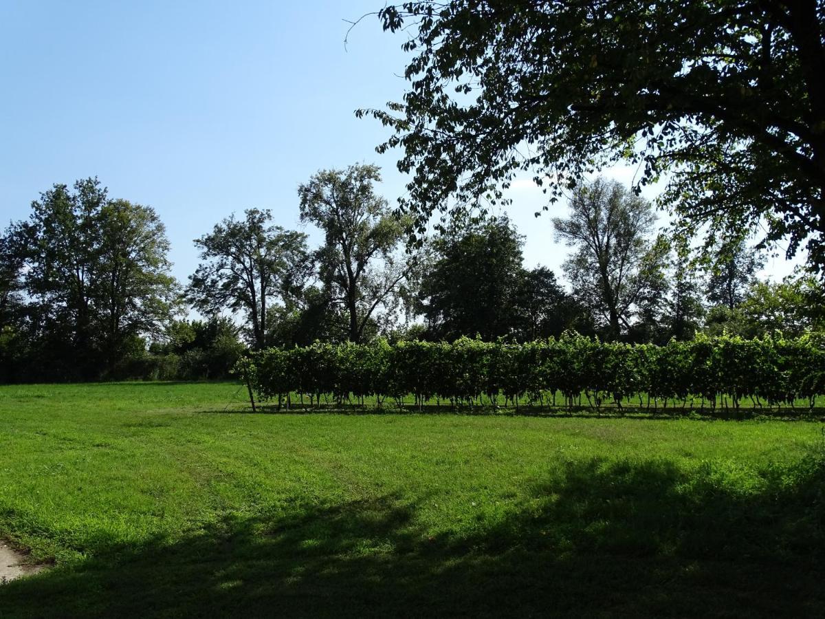 Corte Isolo Bauernhof