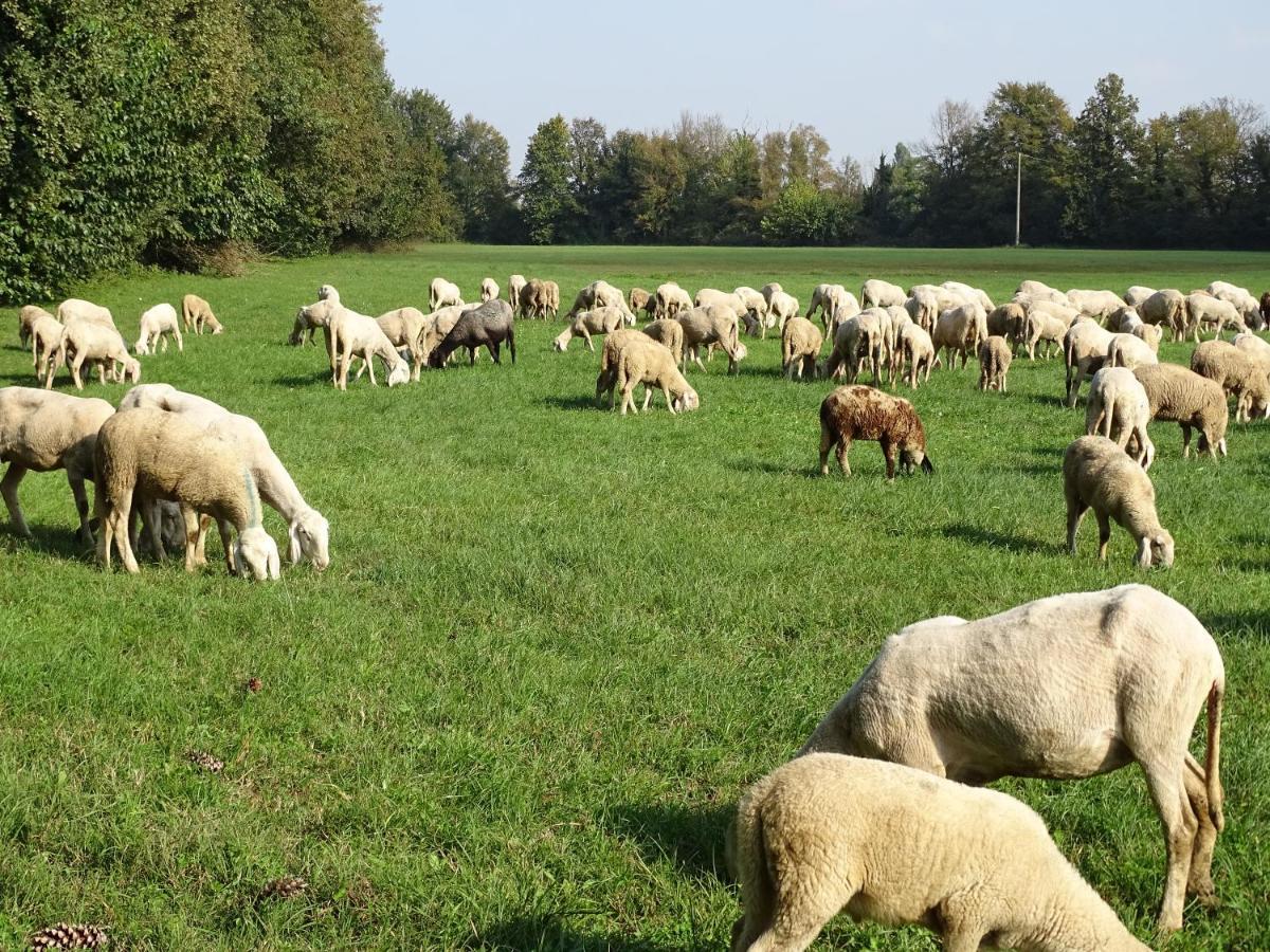 Corte Isolo Bauernhof