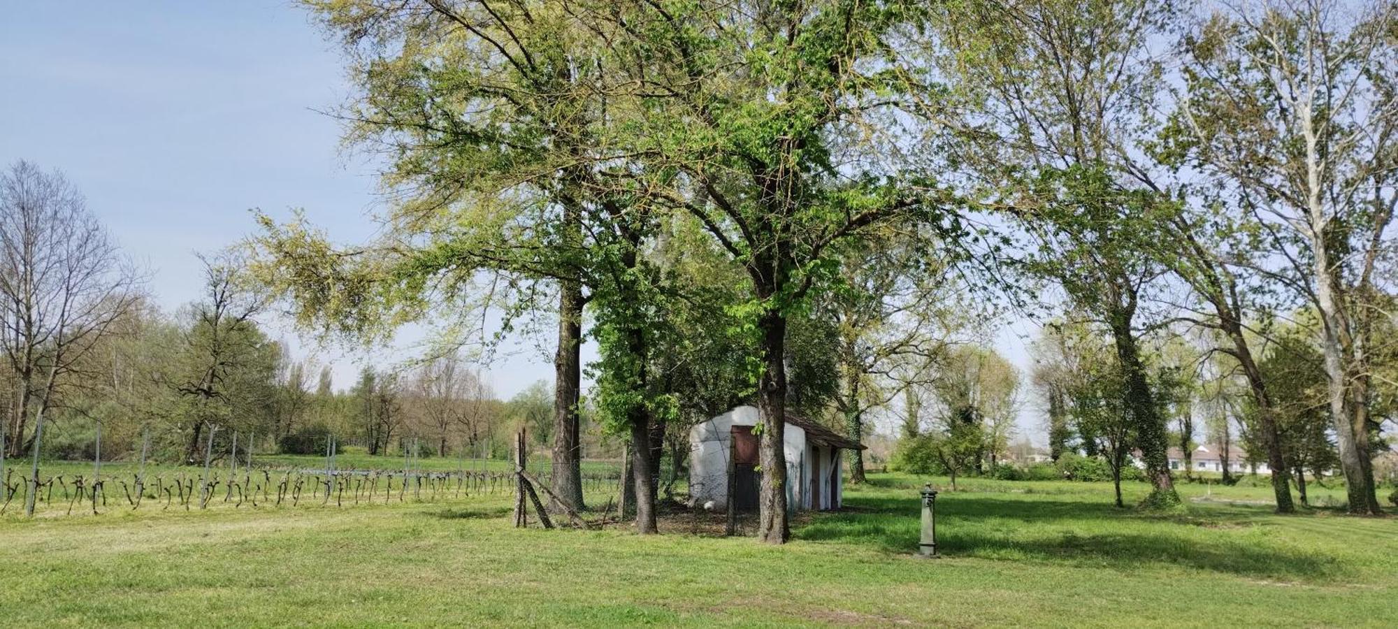Corte Isolo Bauernhof *